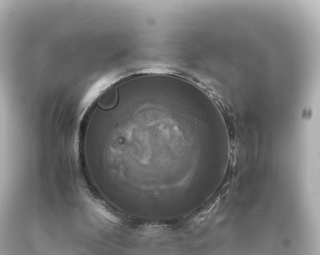 X0000094220296200711021146