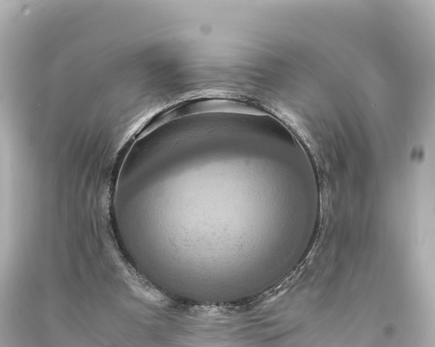 X0000094220297200711021146