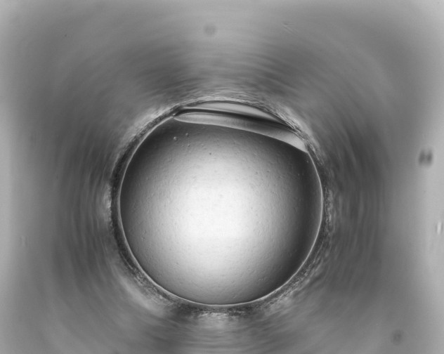 X0000094220298200711021146