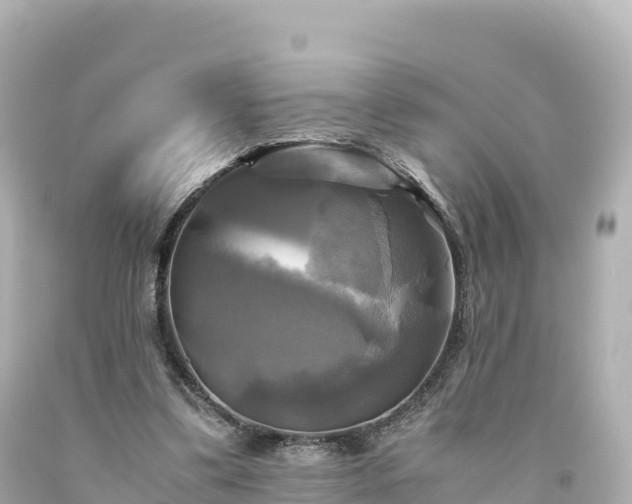 X0000094220299200711021145