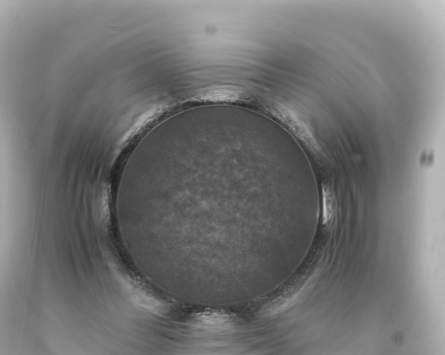 X0000094220300200711021145