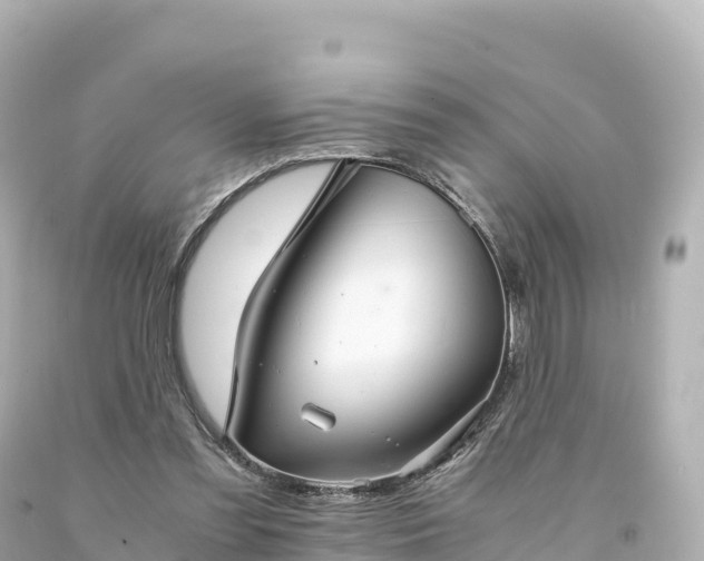 X0000094220301200711021145