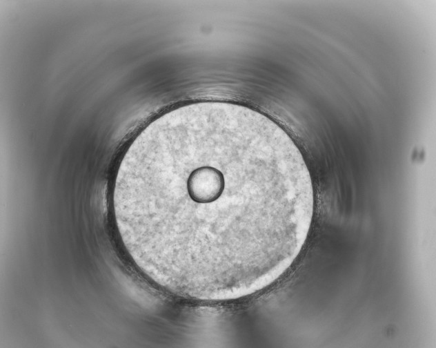 X0000094220302200711021145