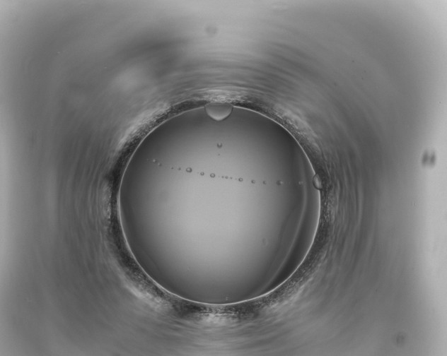 X0000094220303200711021145