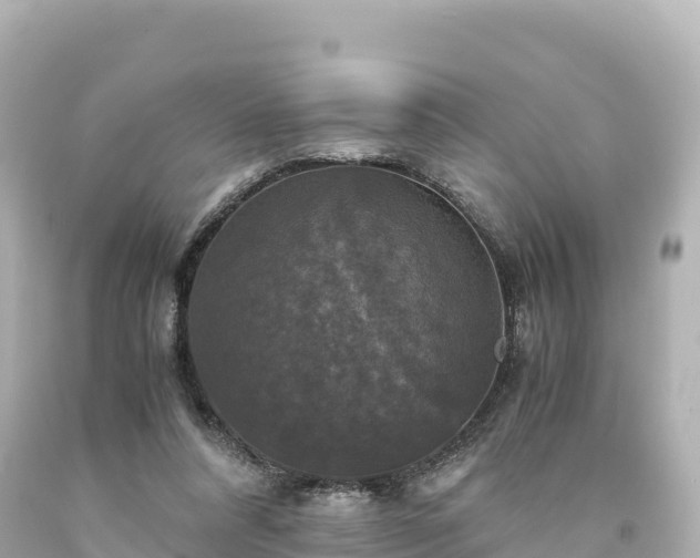 X0000094220304200711021145