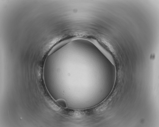 X0000094220305200711021145