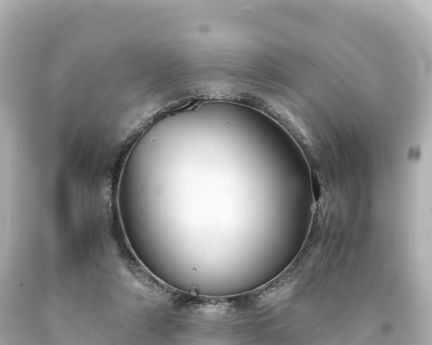 X0000094220306200711021145