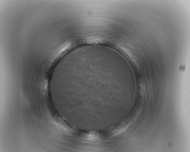 X0000094220308200711021145