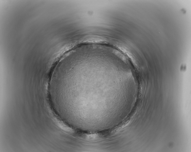 X0000094220309200711021145