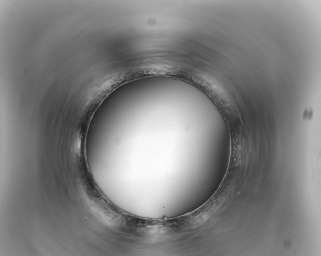 X0000094220310200711021145