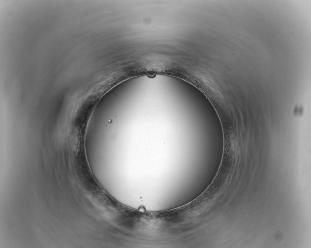 X0000094220311200711021145