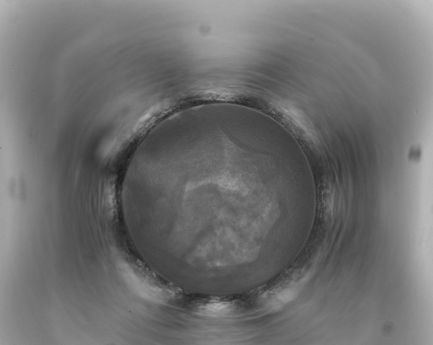 X0000094220312200711021145