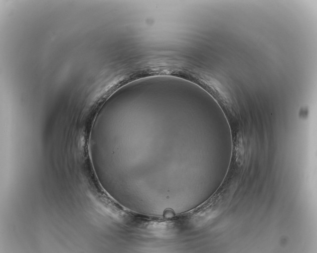 X0000094220314200711021145