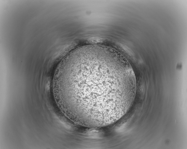 X0000094220315200711021145