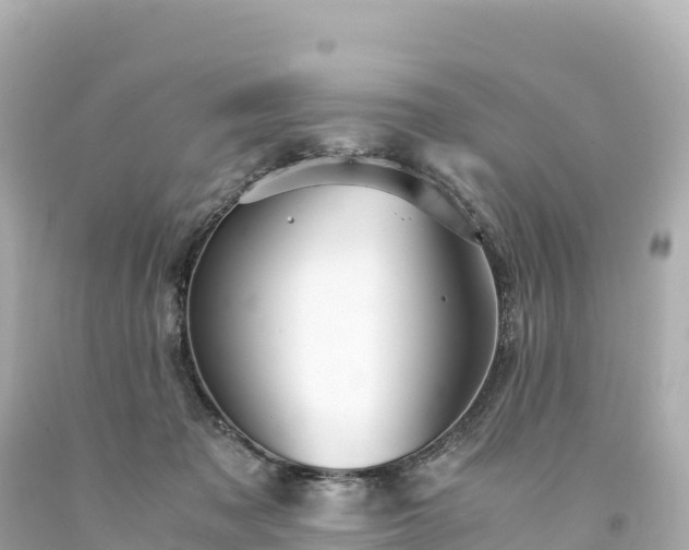 X0000094220317200711021145