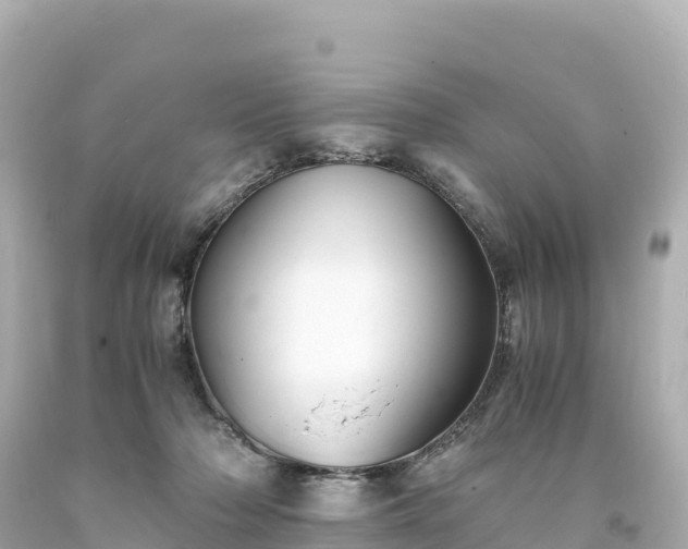 X0000094220318200711021145