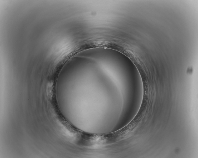 X0000094220319200711021145