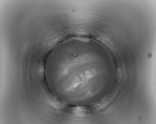 X0000094220320200711021145