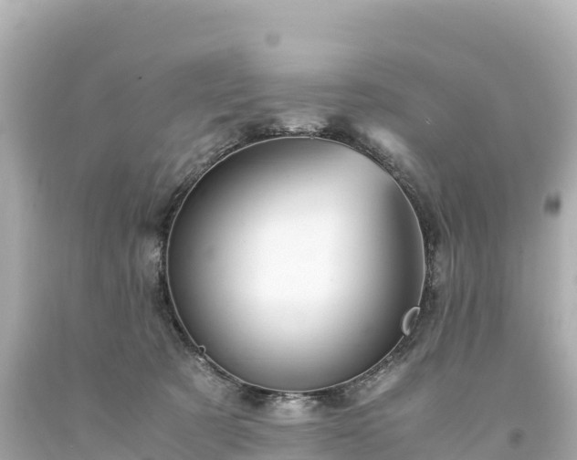 X0000094220321200711021145