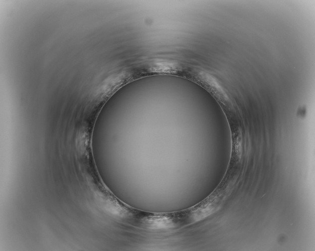 X0000094220322200711021145