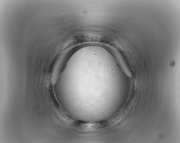 X0000094220323200711021145