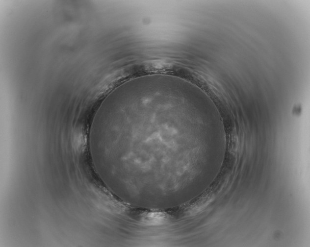 X0000094220324200711021145