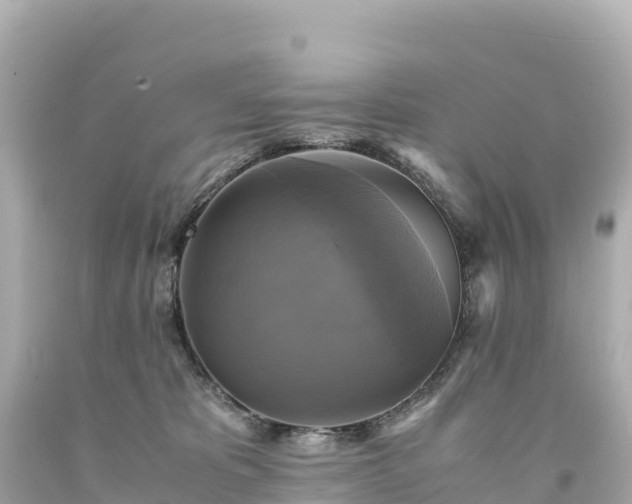 X0000094220325200711021145