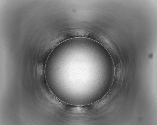 X0000094220326200711021145