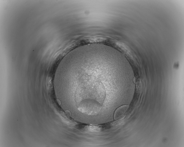 X0000094220327200711021145