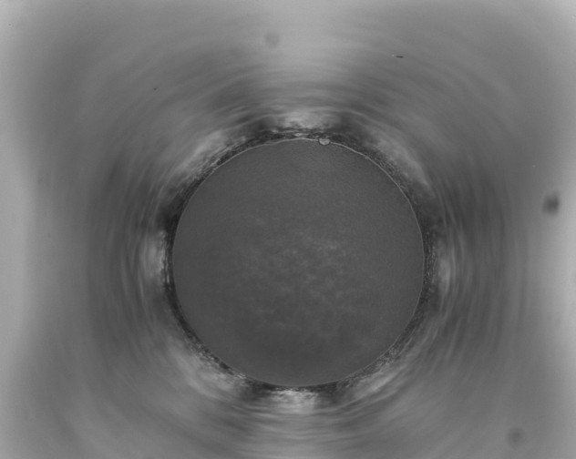 X0000094220328200711021145