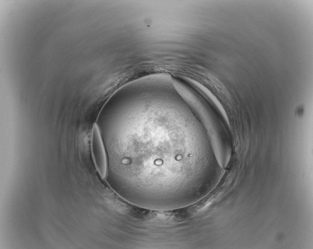 X0000094220329200711021145