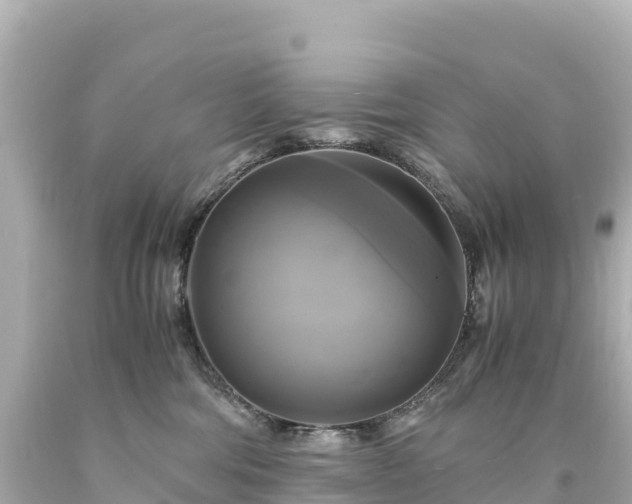 X0000094220330200711021145