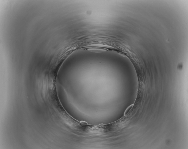 X0000094220331200711021145