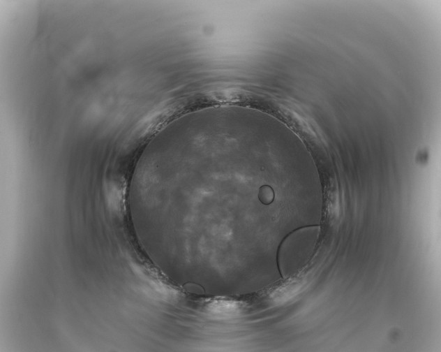 X0000094220332200711021145