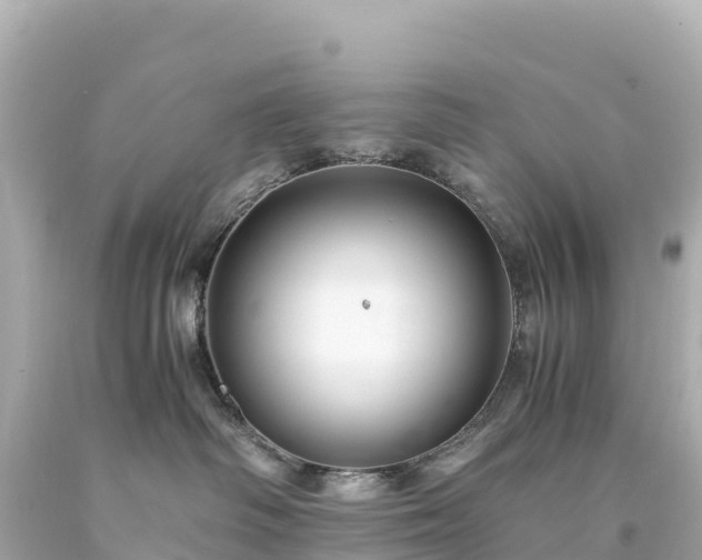 X0000094220334200711021145