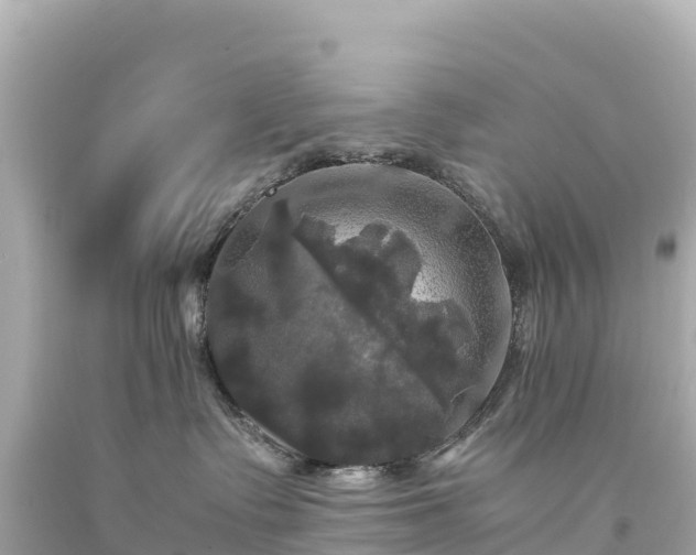 X0000094220335200711021145