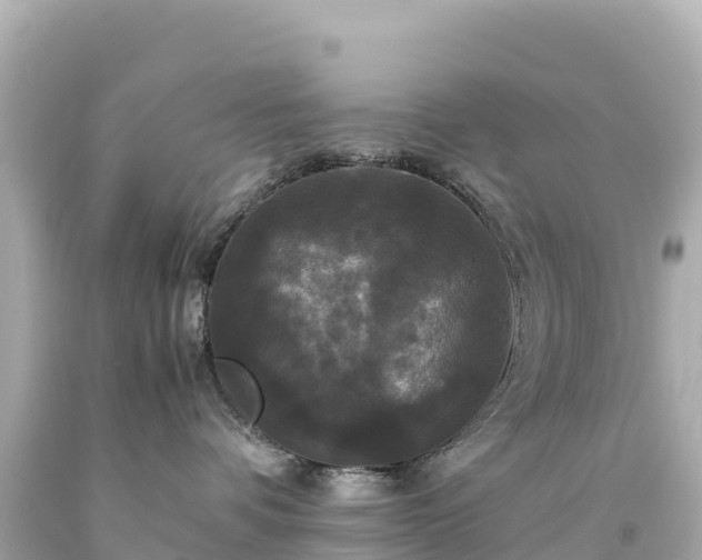 X0000094220336200711021145