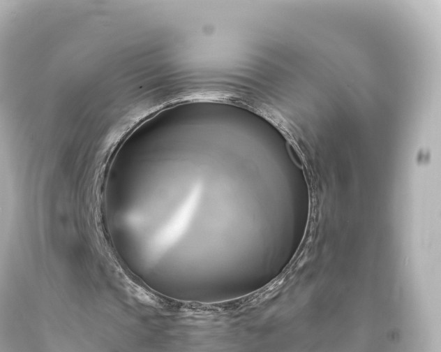 X0000094220337200711021144