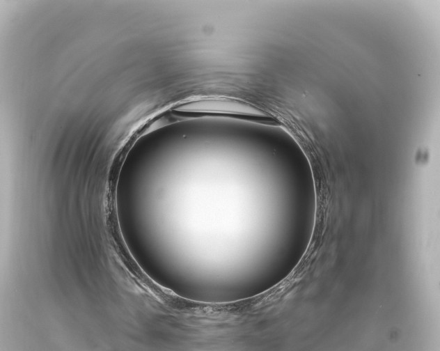 X0000094220338200711021144