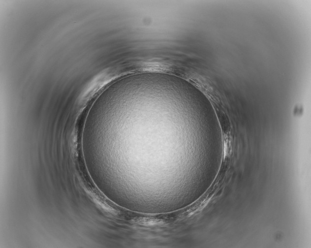 X0000094220339200711021144