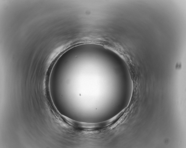 X0000094220340200711021144