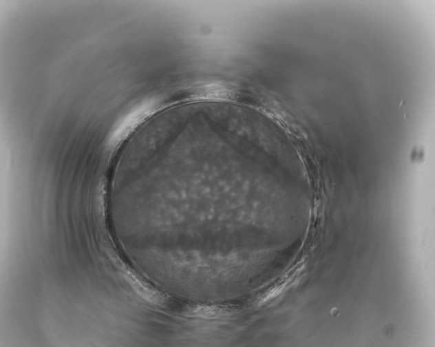 X0000094220341200711021144