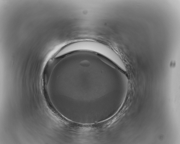 X0000094220342200711021144