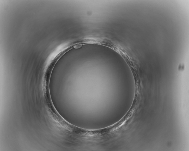 X0000094220343200711021144