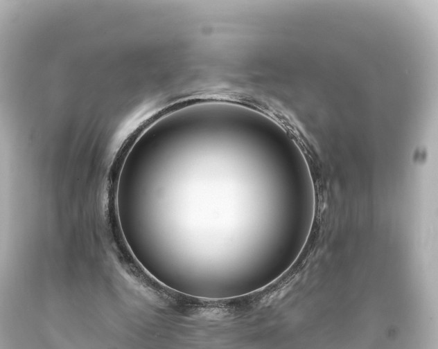 X0000094220344200711021144