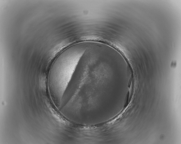 X0000094220345200711021144