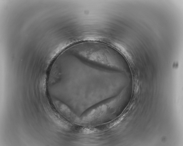 X0000094220346200711021144