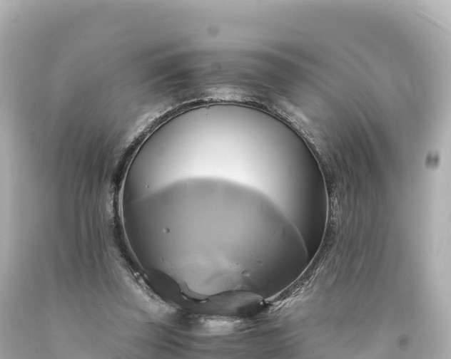 X0000094220347200711021144