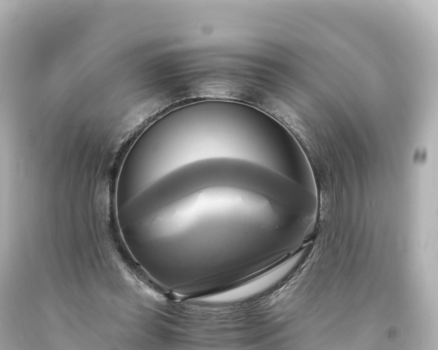 X0000094220349200711021144