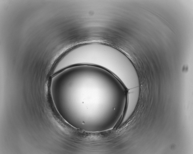 X0000094220350200711021144